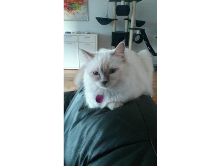 {{currentPhoto.altText}} billede {{currentPhoto.number}}