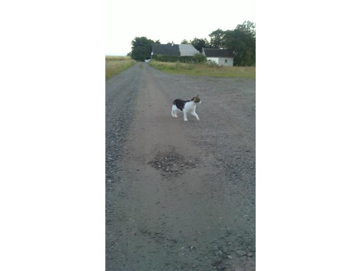 {{currentPhoto.altText}} billede {{currentPhoto.number}}