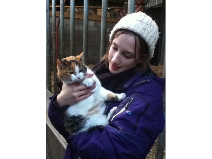 {{currentPhoto.altText}} billede {{currentPhoto.number}}