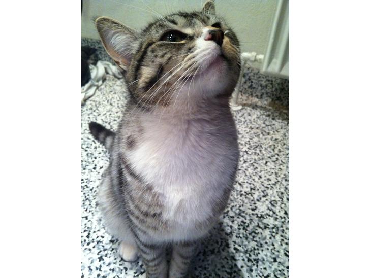 {{currentPhoto.altText}} billede {{currentPhoto.number}}