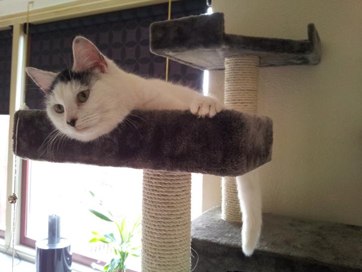 {{currentPhoto.altText}} billede {{currentPhoto.number}}