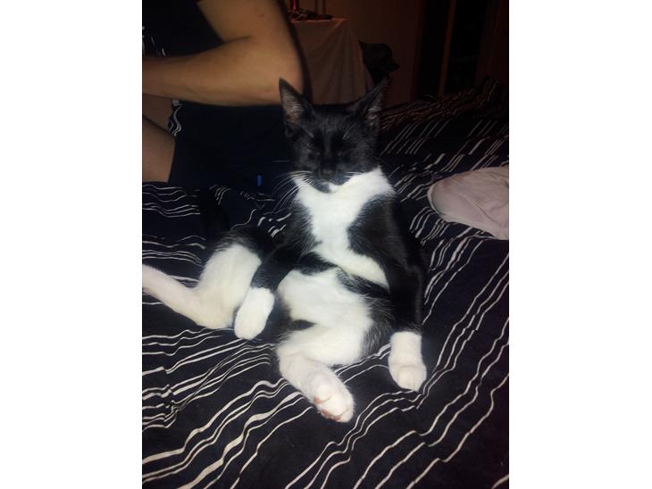 {{currentPhoto.altText}} billede {{currentPhoto.number}}