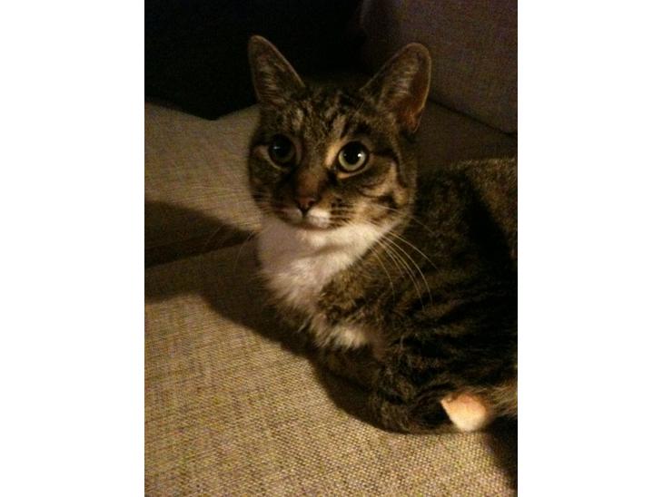 {{currentPhoto.altText}} billede {{currentPhoto.number}}