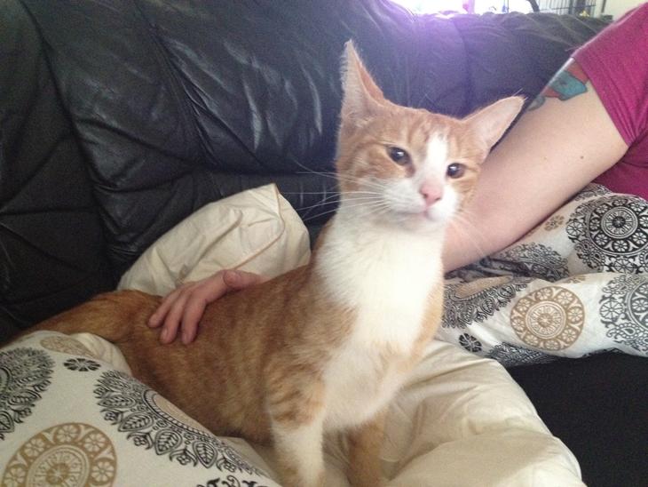 {{currentPhoto.altText}} billede {{currentPhoto.number}}