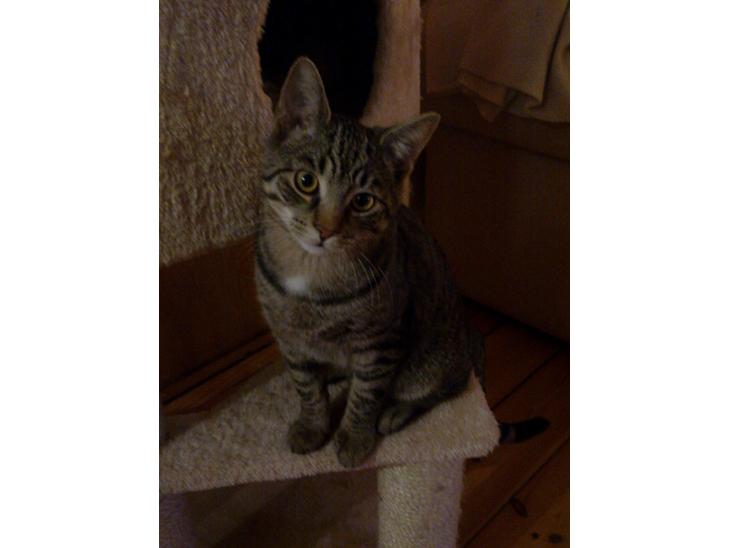 {{currentPhoto.altText}} billede {{currentPhoto.number}}