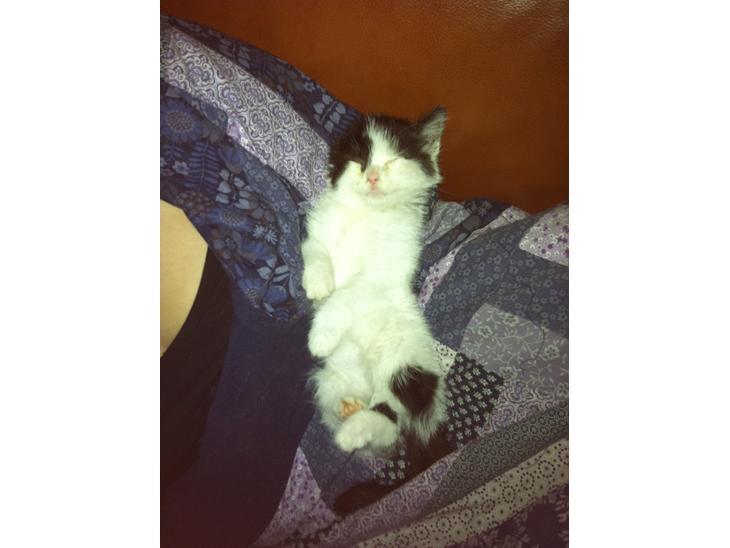 {{currentPhoto.altText}} billede {{currentPhoto.number}}