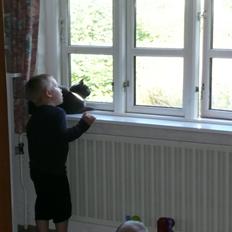 Blanding af racer Ove