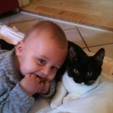 Blanding af racer Elliott