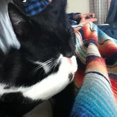 Blanding af racer Neo