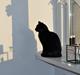 Huskat Ziki