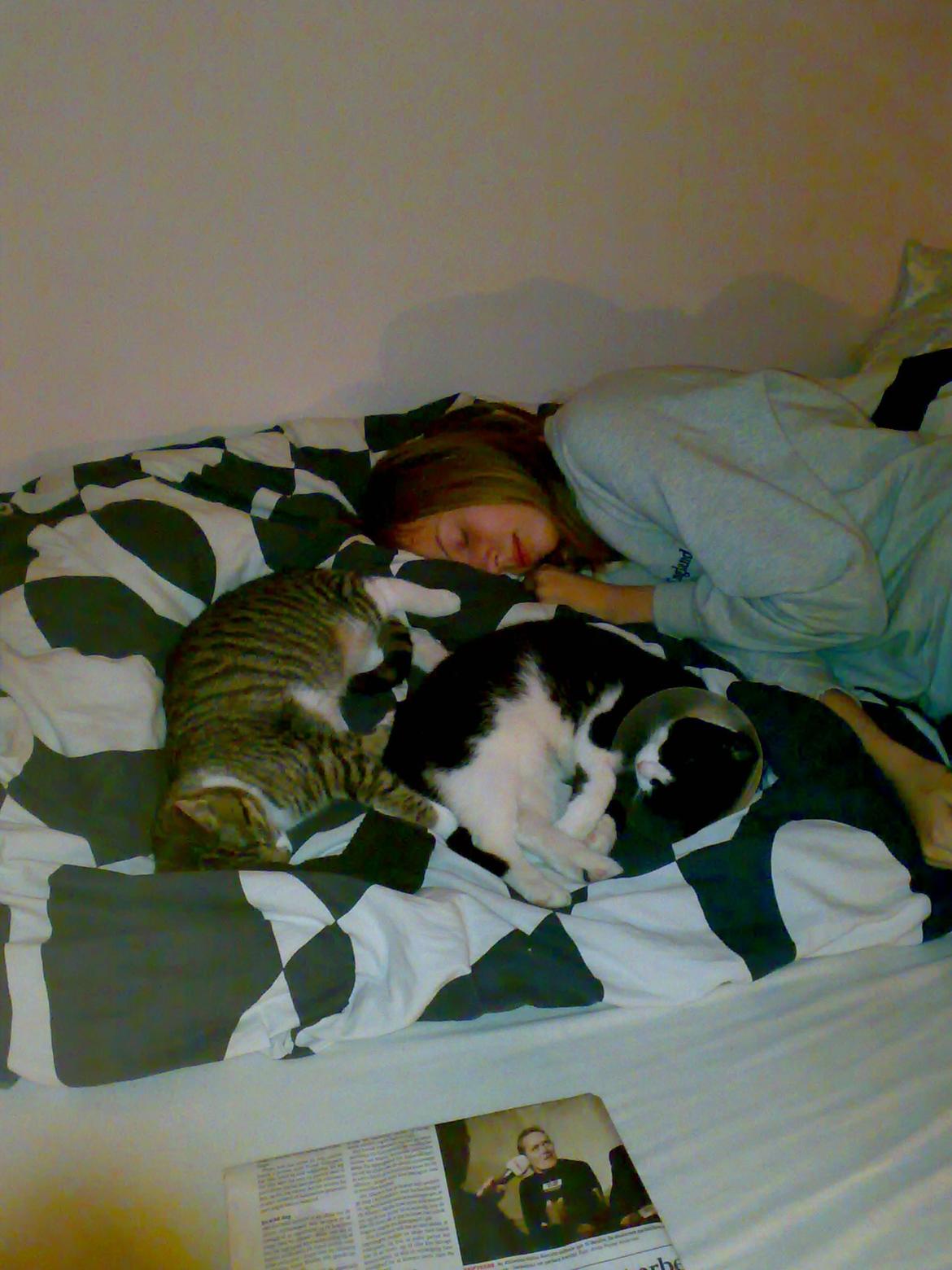 Huskat Pepsi billede 4