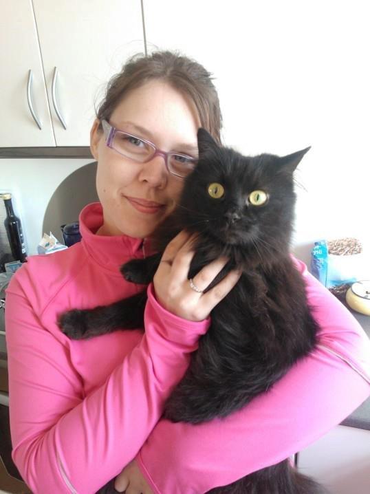 Maine Coon Malou billede 1