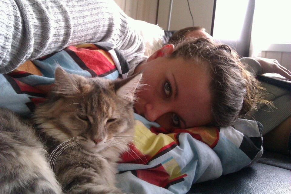 Maine Coon Jessie billede 9