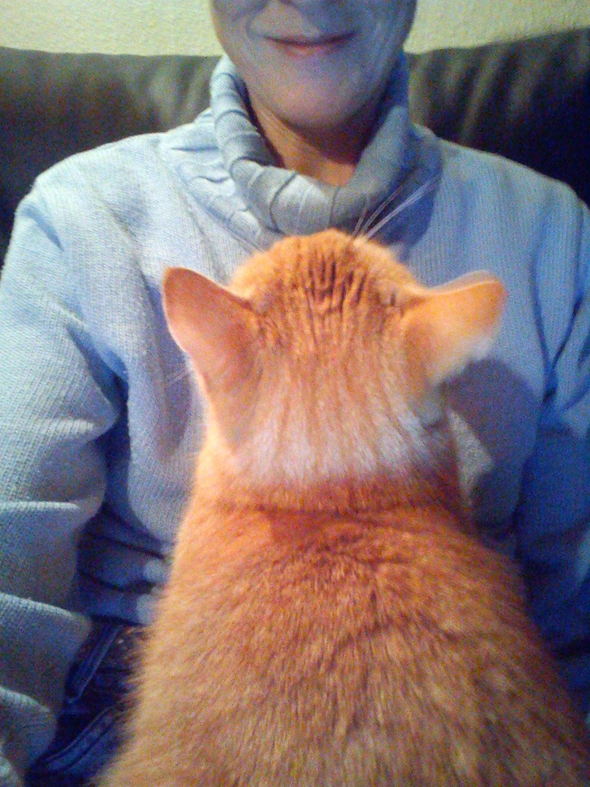 Huskat Amanda - Min "mor" er sød billede 12