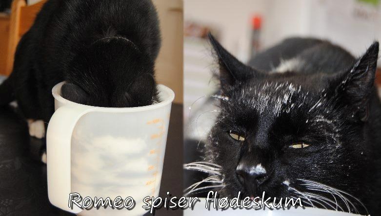 Huskat Romeo' a stribs billede 9