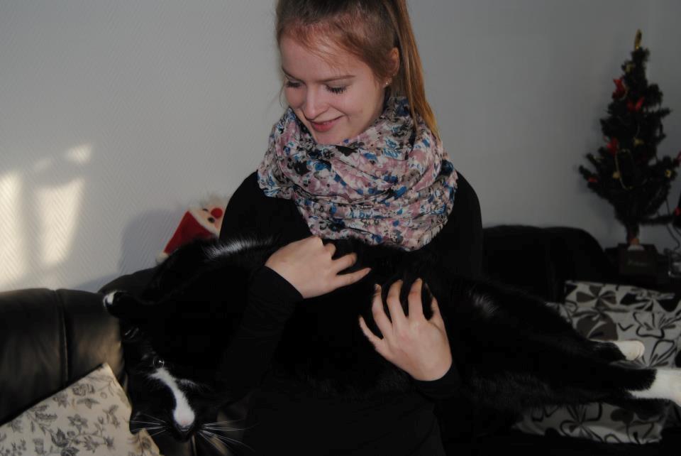 Huskat Romeo' a stribs billede 20