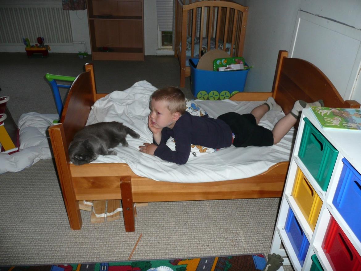 Blanding af racer Ove billede 4