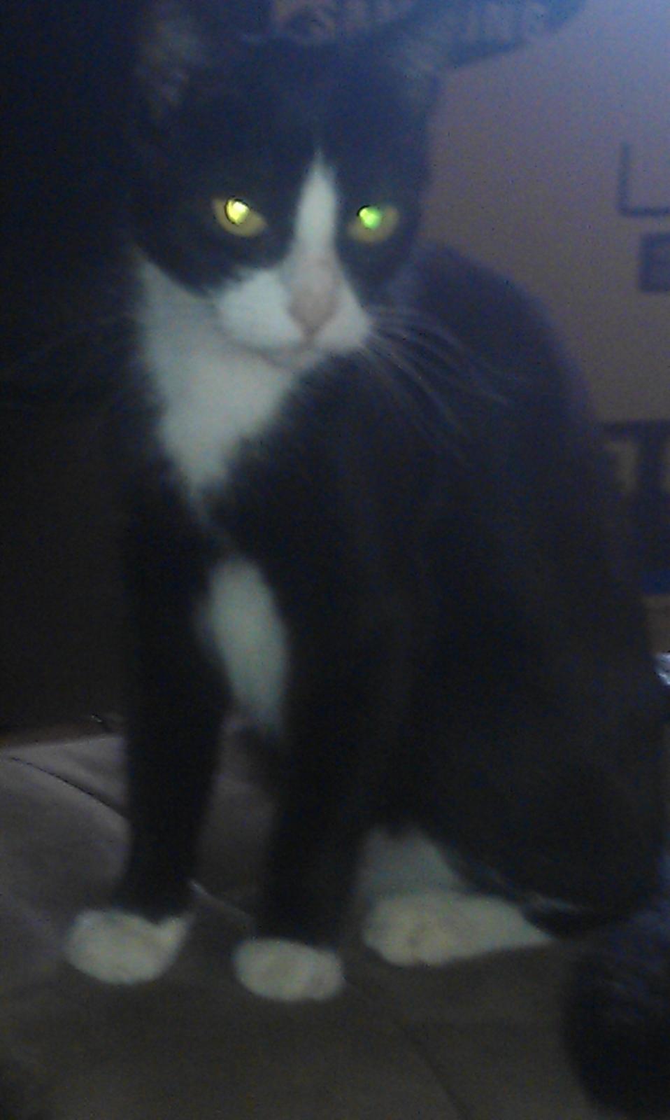 Huskat pusle - pusle billede 7