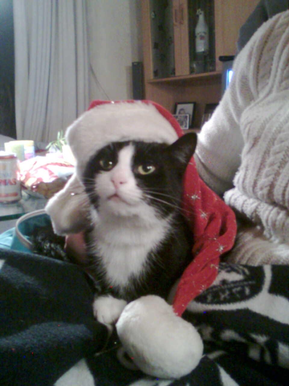 Huskat pusle - så er det juletide  billede 4