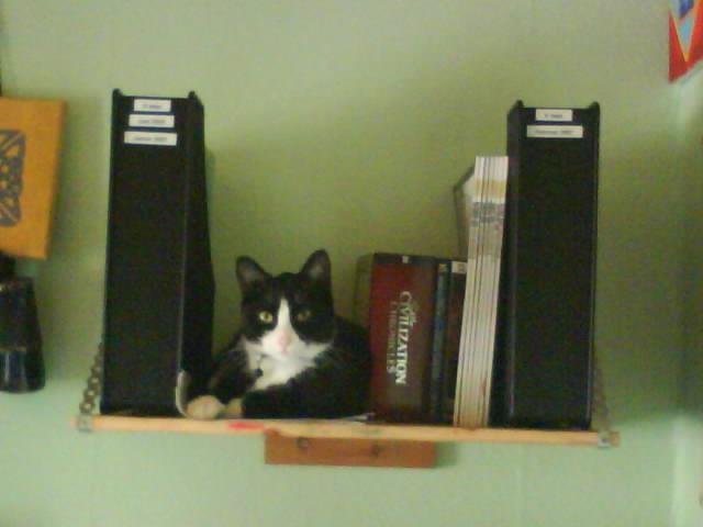 Huskat pusle - pokkers de fandt mig  billede 5