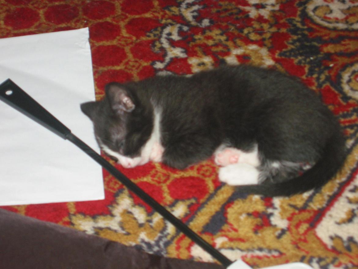 Huskat pusle - dengang jeg var lille  billede 3