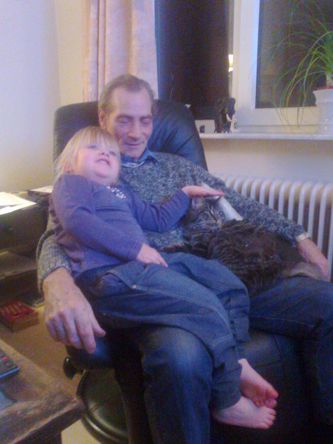 Blanding af racer Mille - mille på besøg hos farmor og farfar billede 15