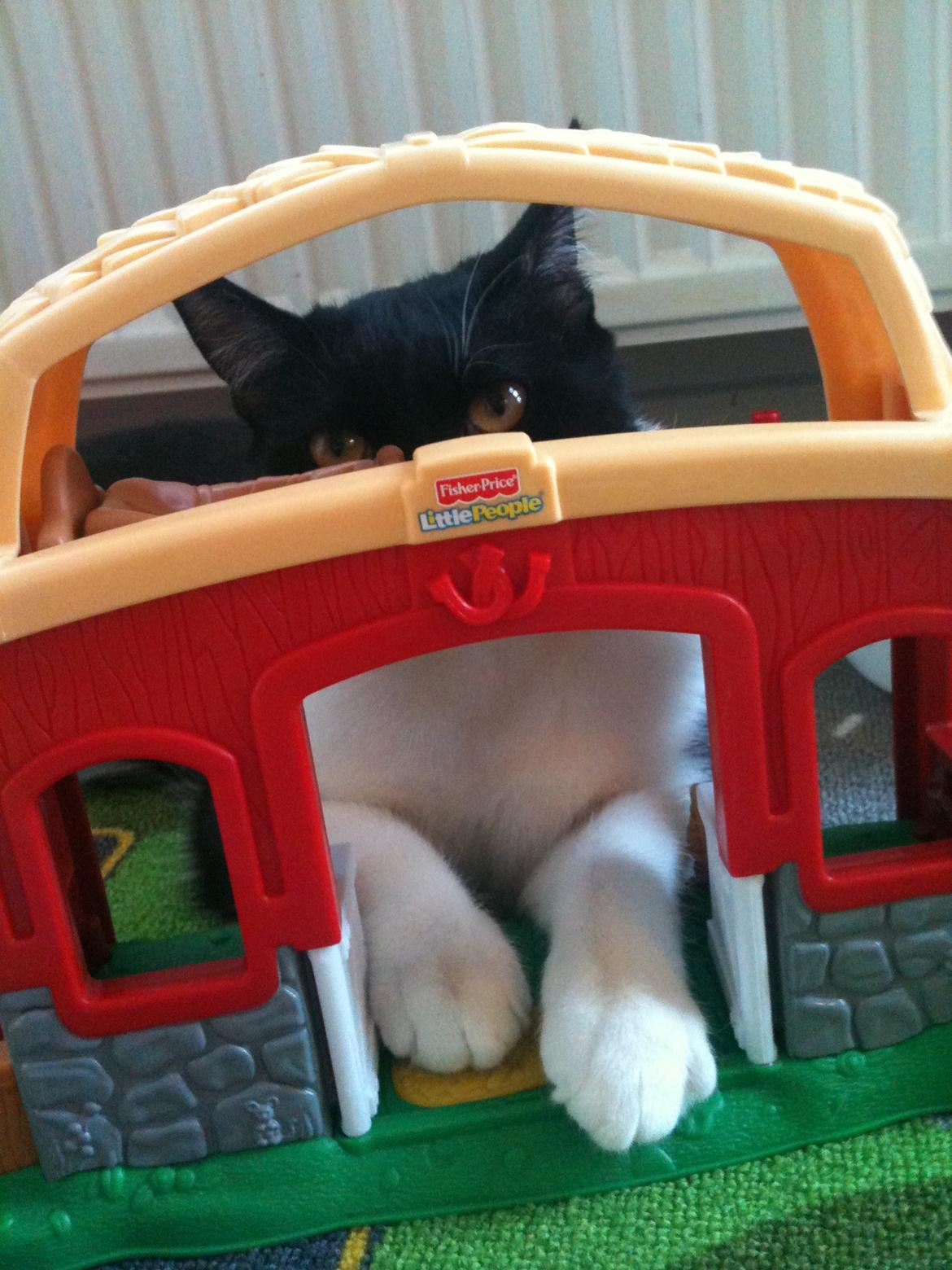 Blanding af racer Elliott - Det her babylegetøj, det dur bare! billede 16