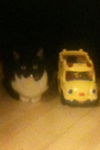 Blanding af racer Elliott - Mig og "min" nye bus. billede 19