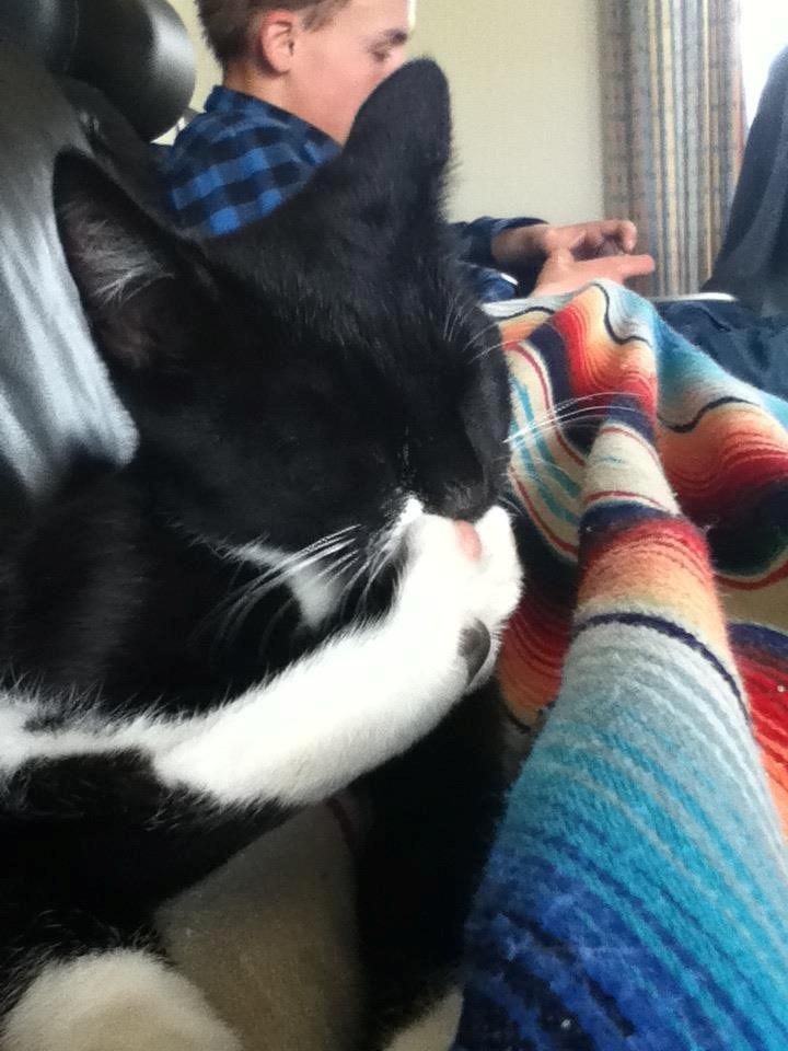 Blanding af racer Neo billede 1