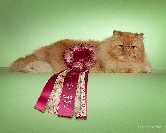 Perser Narnia af Jurian billede 1