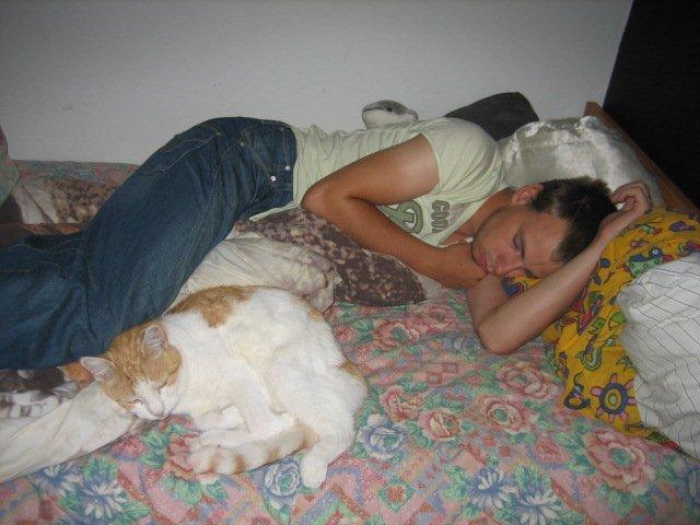 Huskat rasmus - min kæreste og Dullemis hygger med en middagslur. billede 3