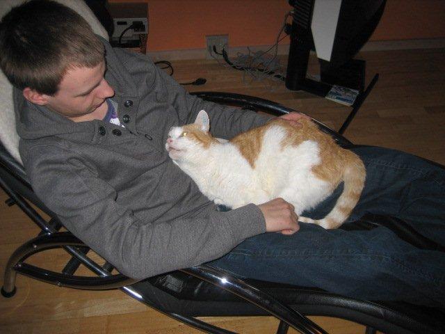 Huskat rasmus - kærligheden ved at blive kælet :) billede 5