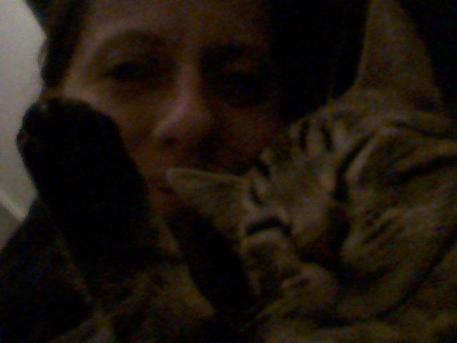 Huskat My, lille my, Myse billede 18