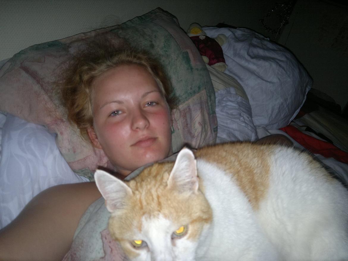 Huskat rasmus billede 6