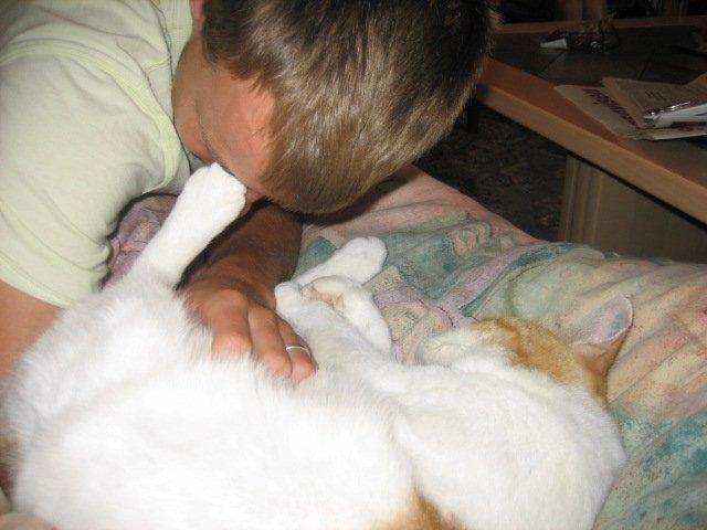 Huskat rasmus billede 13