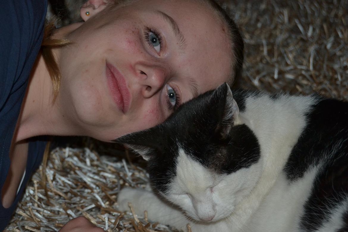 Huskat Plet billede 13