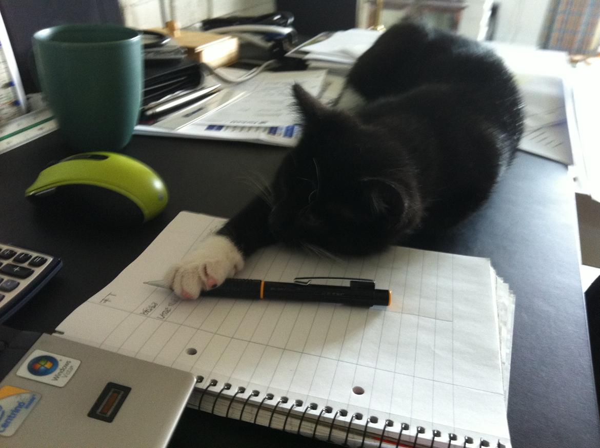 Blanding af racer Neo billede 12