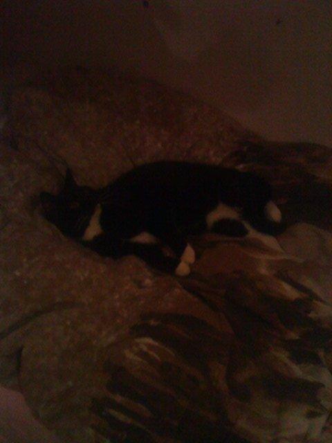 Huskat Filippa - Hun tog sig lige en lur i min seng billede 10