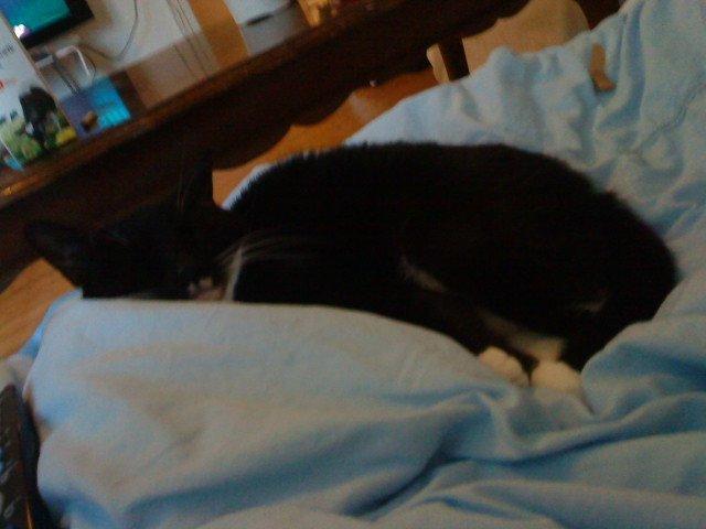 Huskat Filippa - Filippa tager en dejlig lur i min mors seng billede 13