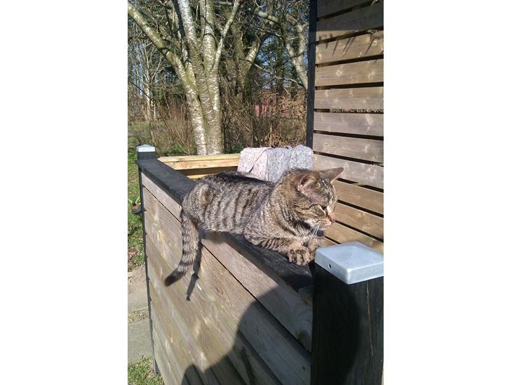 {{currentPhoto.altText}} billede {{currentPhoto.number}}