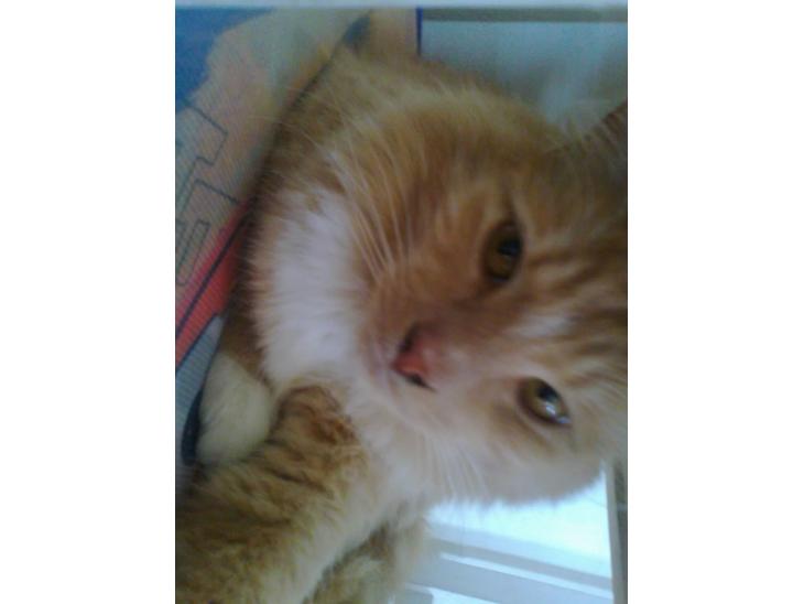 {{currentPhoto.altText}} billede {{currentPhoto.number}}