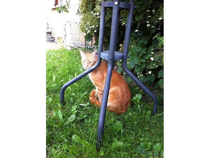 {{currentPhoto.altText}} billede {{currentPhoto.number}}