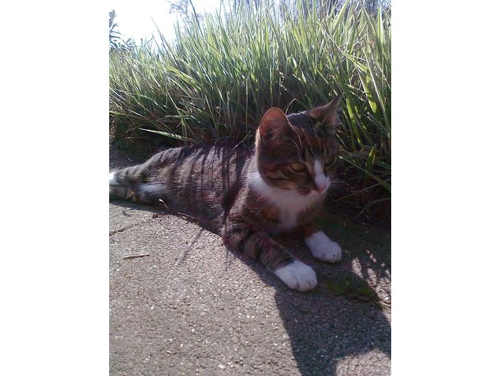 {{currentPhoto.altText}} billede {{currentPhoto.number}}