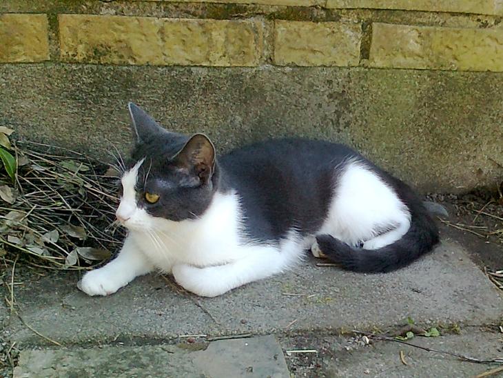 {{currentPhoto.altText}} billede {{currentPhoto.number}}