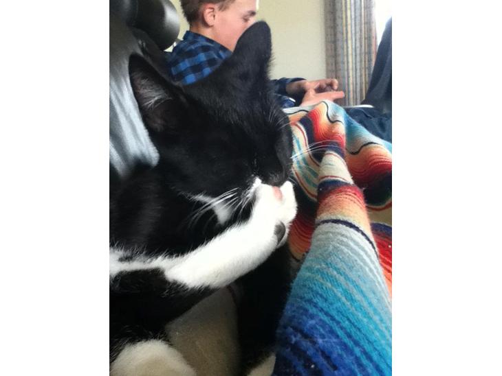 {{currentPhoto.altText}} billede {{currentPhoto.number}}