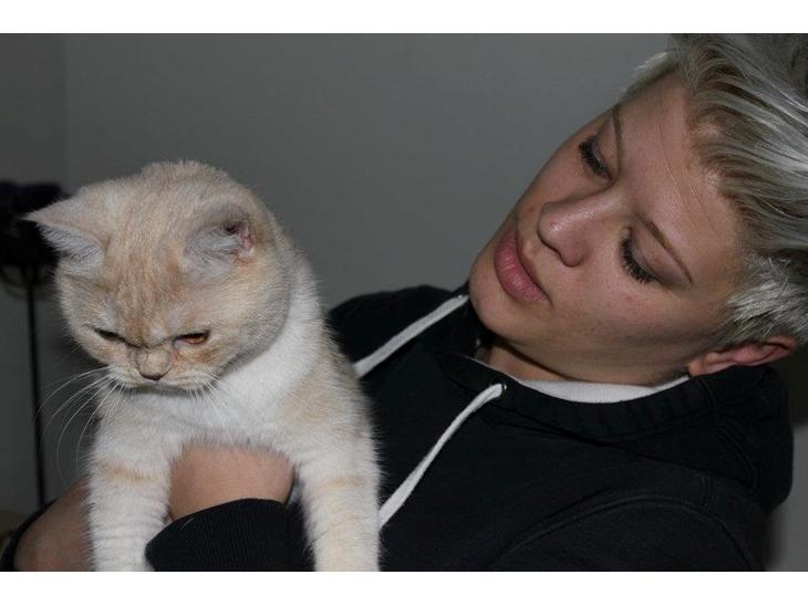 {{currentPhoto.altText}} billede {{currentPhoto.number}}