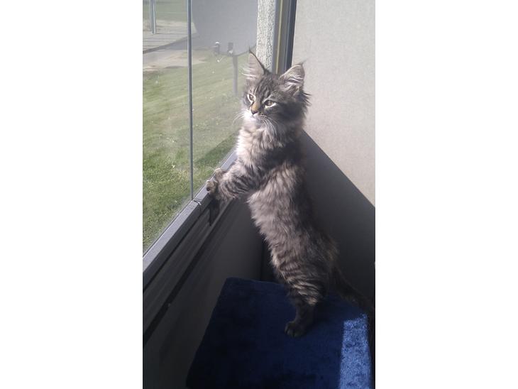 {{currentPhoto.altText}} billede {{currentPhoto.number}}