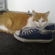 Blanding af racer Mille