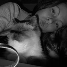 Hellig Birma Missemor