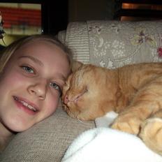 Huskat Holger (Hutte)